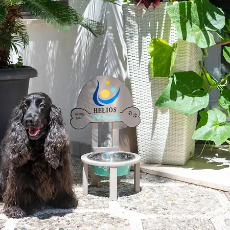 Helios 디아노마리나