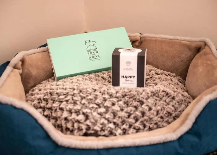 酒店 赫利奥斯酒店 迪亚诺马里纳